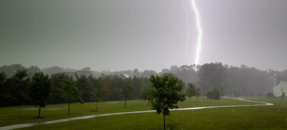 Omaha NE Lightning Protection For Trees